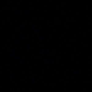 Meet your Posher, Celine